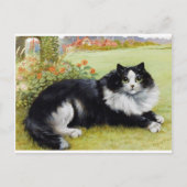 Louis Wain Cat, Black & White Cat Postkarte (Vorderseite)