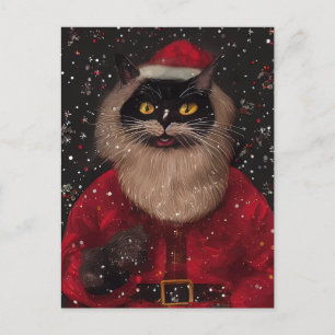 Louis Wain Stil Cat Santa Claus Postcard Postkarte