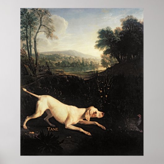 Louis XIV's Dog, Tane Poster (Vorne)