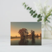 Louisiana, Bäume und Zypressen bei Sonnenuntergang Postkarte (Stehend Vorderseite)