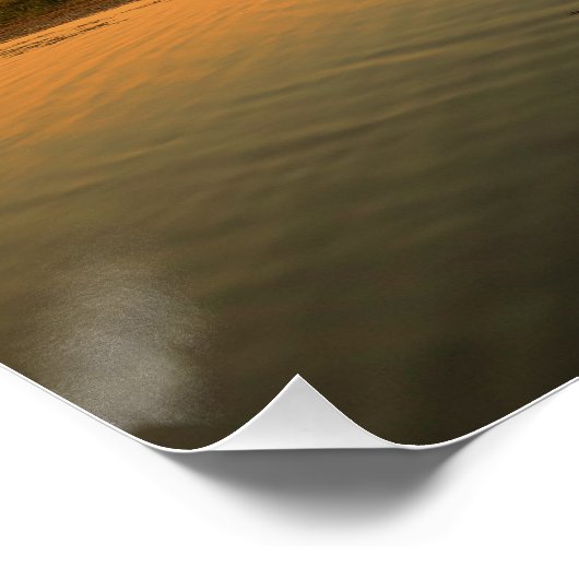 Louisiana bayou and cypress tree poster (Ecke)