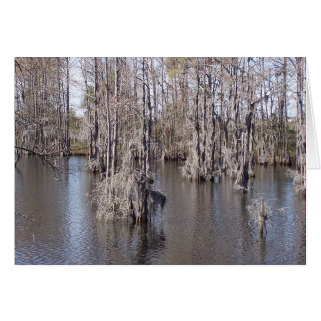 Louisiana Bayou Card (Vorderseite (Horizontal))