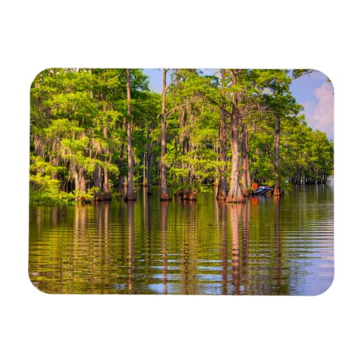 Louisiana Bayou Foto Magnet (Horizontal)