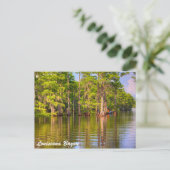 Louisiana Bayou Postkarte (Stehend Vorderseite)