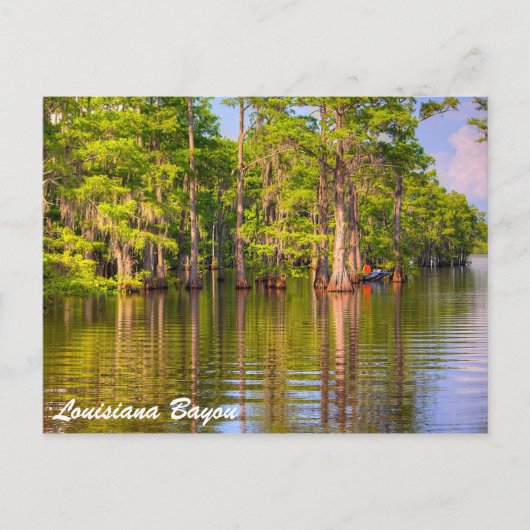 Louisiana Bayou Postkarte (Vorderseite)