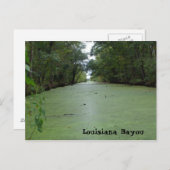 Louisiana Bayou Postkarte (Vorne/Hinten)
