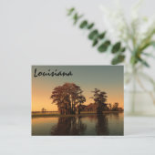 Louisiana bayou postkarte (Stehend Vorderseite)
