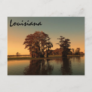Louisiana bayou postkarte