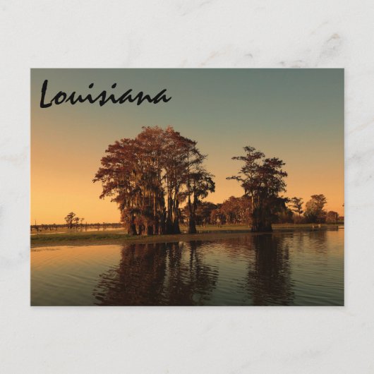 Louisiana bayou postkarte (Vorderseite)
