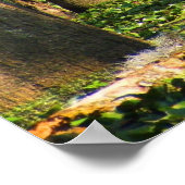 Louisiana Bird in Swamp Poster (Ecke)