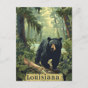 Louisiana Black Bear Postkarte