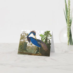 Louisiana Blue Heron von After John James Audubon Dankeskarte