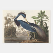 Louisiana Blue Heron von John Jay Audubon Geschenkpapier Set (Vorderseite 3)
