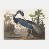 Louisiana Blue Heron von John Jay Audubon Geschenkpapier Set (Vorderseite 2)