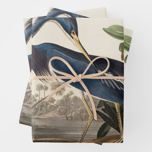 Louisiana Blue Heron von John Jay Audubon Geschenkpapier Set (Beispiel)