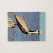 Louisiana Brown Pelican 4.jpg Puzzle (Horizontal)