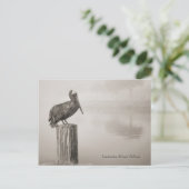 Louisiana Brown Pelican Postkarte (Stehend Vorderseite)