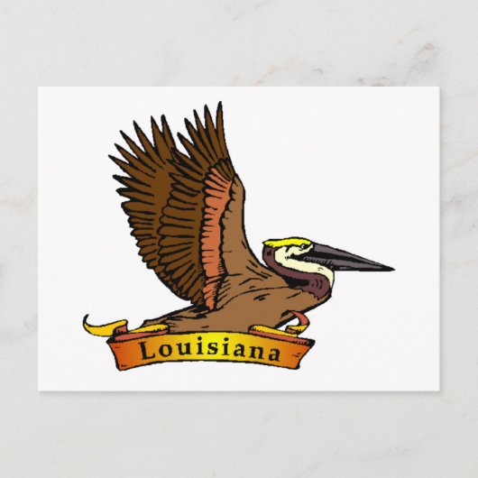 Louisiana Brown Pelican Postkarte (Vorderseite)