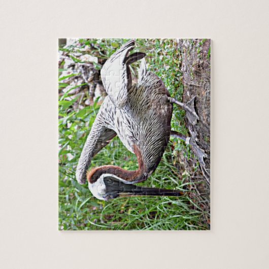 Louisiana Brown Pelican Puzzle (Vertikal)