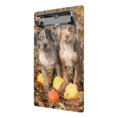 Louisiana Catahoula Welpen mit Pumpkins Mini Klemmbrett (Gewinkelt2)