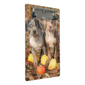 Louisiana Catahoula Welpen mit Pumpkins Mini Klemmbrett (Schrägansicht)