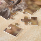 Louisiana Catahoula Welpen mit Pumpkins Puzzle (Seite)