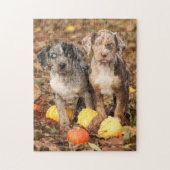 Louisiana Catahoula Welpen mit Pumpkins Puzzle (Vertikal)