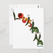 Louisiana Chili Paprikaschoten Postkarte (Vorne/Hinten)