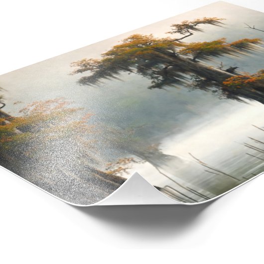Louisiana Cypress Swamp, Louisiana Art, Swamp Fotodruck (Ecke)