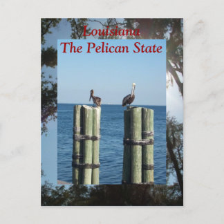 Louisiana Der Pelican-Staat Postkarte
