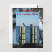 Louisiana Der Pelican-Staat Postkarte (Vorne/Hinten)