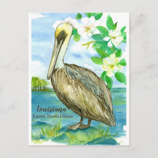 Louisiana Eastern Brown Pelican Staat Bird Postkarte (Vorderseite)