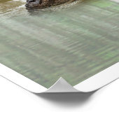 Louisiana Foods Poster (Ecke)