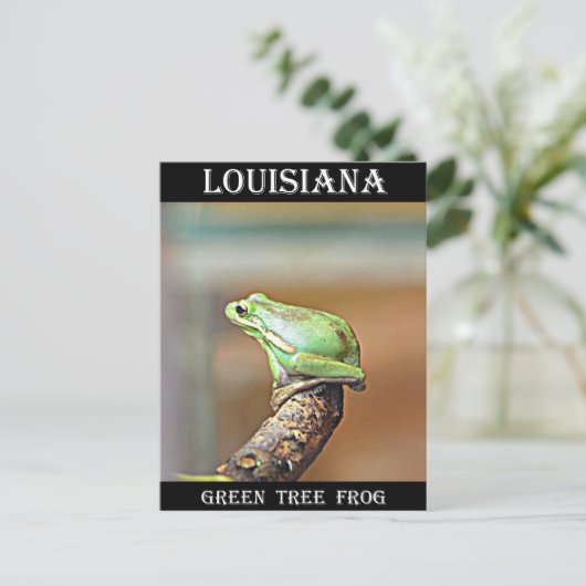 Louisiana Green Tree Frog Postkarte (Stehend Vorderseite)