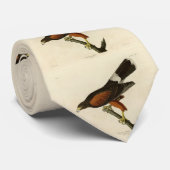 Louisiana (Harris's Hawk Audubon Birds of America Krawatte (Gerollt)