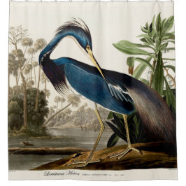 Louisiana Heron, 1834, From the Birds of America Duschvorhang