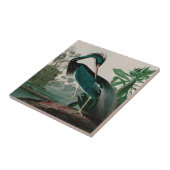 Louisiana Heron Birds of America Audubon Print Fliese (Seite)
