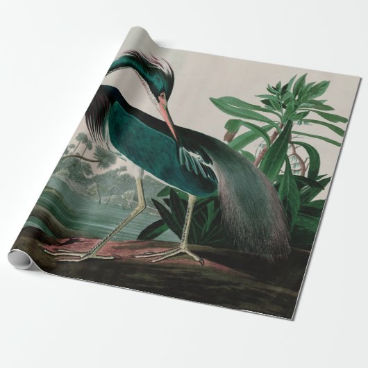 Louisiana Heron Birds of America Audubon Print Geschenkpapier (Ungerollt)