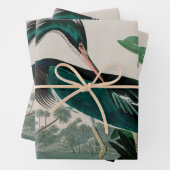 Louisiana Heron Birds of America Audubon Print Geschenkpapier Set (Beispiel)
