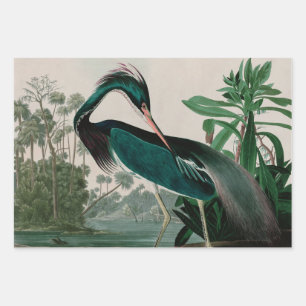 Louisiana Heron Birds of America Audubon Print Geschenkpapier Set