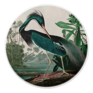 Louisiana Heron Birds of America Audubon Print Keramikknauf