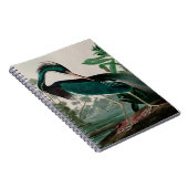 Louisiana Heron Birds of America Audubon Print Notizblock (Rechte Seite)
