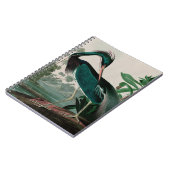 Louisiana Heron Birds of America Audubon Print Notizblock (Linke Seite)