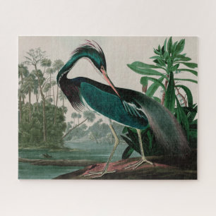 Louisiana Heron Birds of America Audubon Print Puzzle