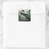 Louisiana Heron Birds of America Audubon Print Quadratischer Aufkleber (Tasche)