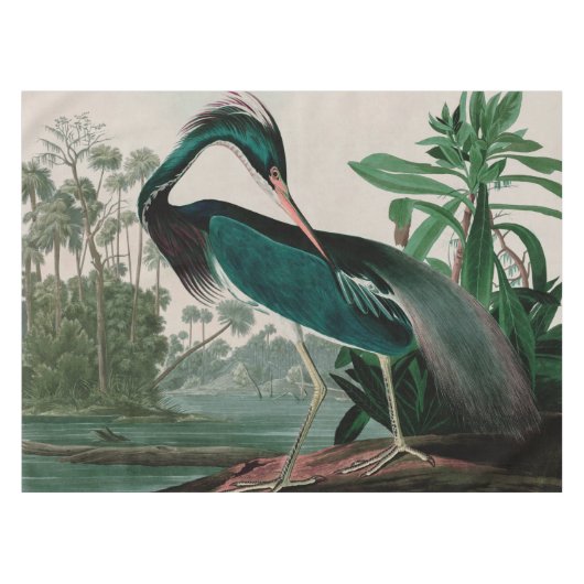 Louisiana Heron Birds of America Audubon Print Tischdecke (Vorderseite (Horizontal))