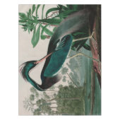 Louisiana Heron Birds of America Audubon Print Tischdecke (Vorderseite)