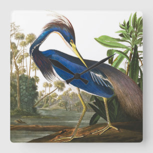 Louisiana Heron by John James Audubon Quadratische Wanduhr