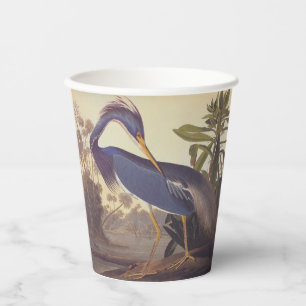 Louisiana Heron oder Trikolore Heron von Audubon Pappbecher