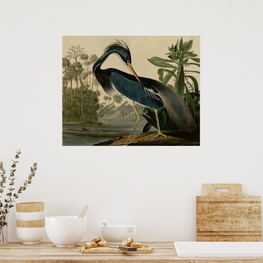 Louisiana Heron Poster (Küche)